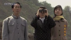 张婉茹