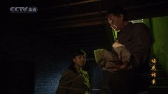 张婉茹