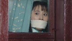 蔡蝶