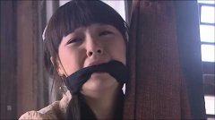 刘婧