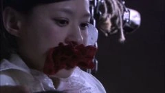 陈真希