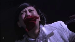 陈真希