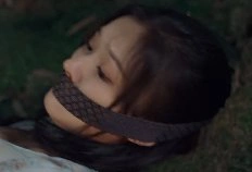 梦华录