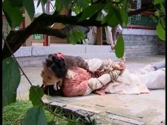 杨蓉