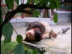 杨蓉
