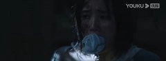 王溪鹭*