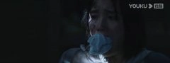 王溪鹭
