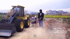 歹思琪