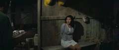 张曼玉