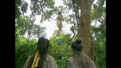 杨思琦