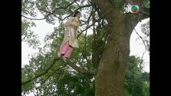杨思琦