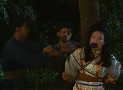 江淑娜