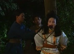 江淑娜