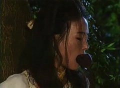 江淑娜