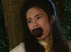 江淑娜