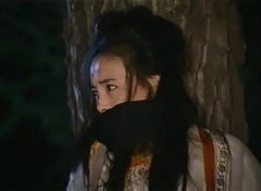 江淑娜