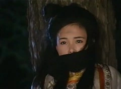 江淑娜