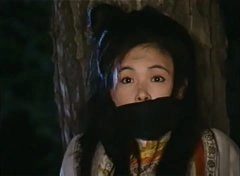 江淑娜
