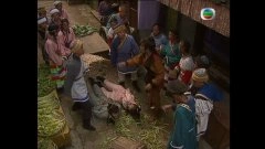 卢敏仪,林其欣