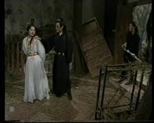 涂善妮