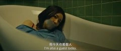 高叶