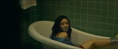 高叶