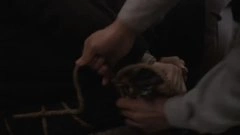 蒋欣