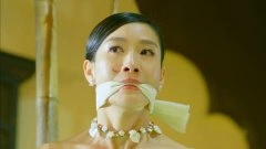 陶昕然