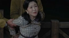 沈璐