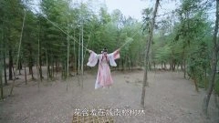 宣璐