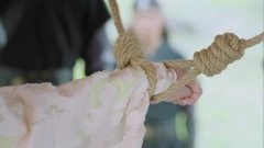 张馨予