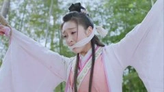宣璐*