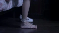 董洁