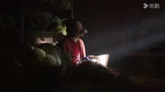 杨志雯