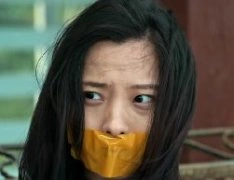 霹雳玫瑰