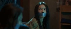 蔡文静*