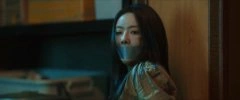 蔡文静