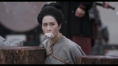 温峥嵘*