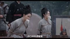 王艳,何泓姗