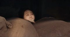 何苗