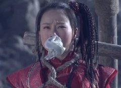 少林寺传奇第三部之大漠英豪