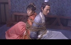法提麦雅琦