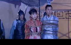 法提麦雅琦