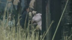 宋梵常乐(宋晓乐)