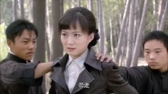 魏冉