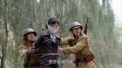 魏冉