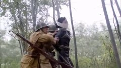 魏冉