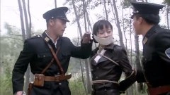 魏冉