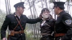 魏冉