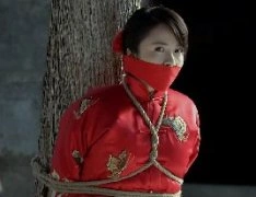锄奸